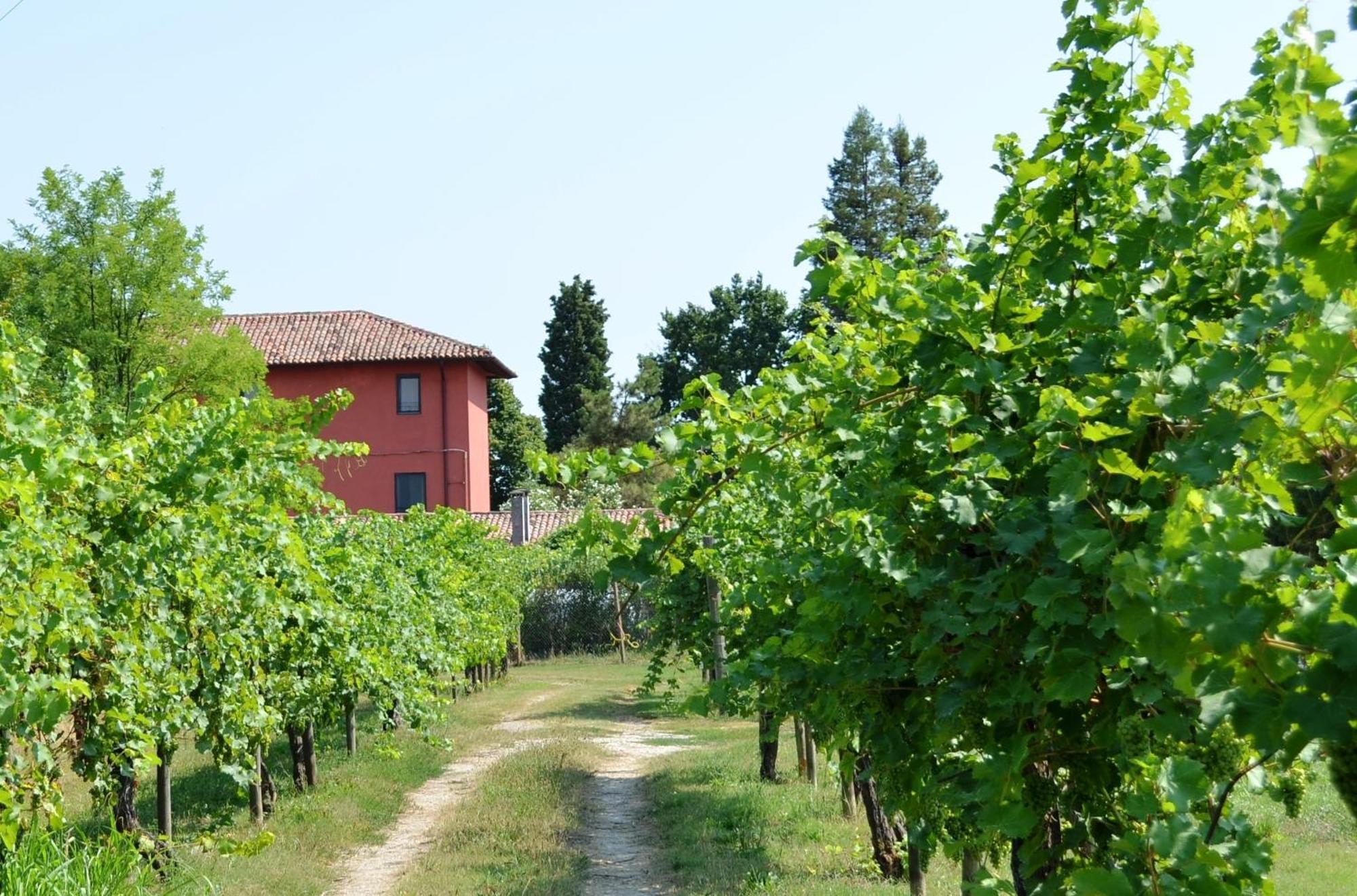 Agriturismo Isola Augusta パラッツォーロ・デッロ・ステッラ エクステリア 写真